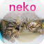 nekokitĩy[W