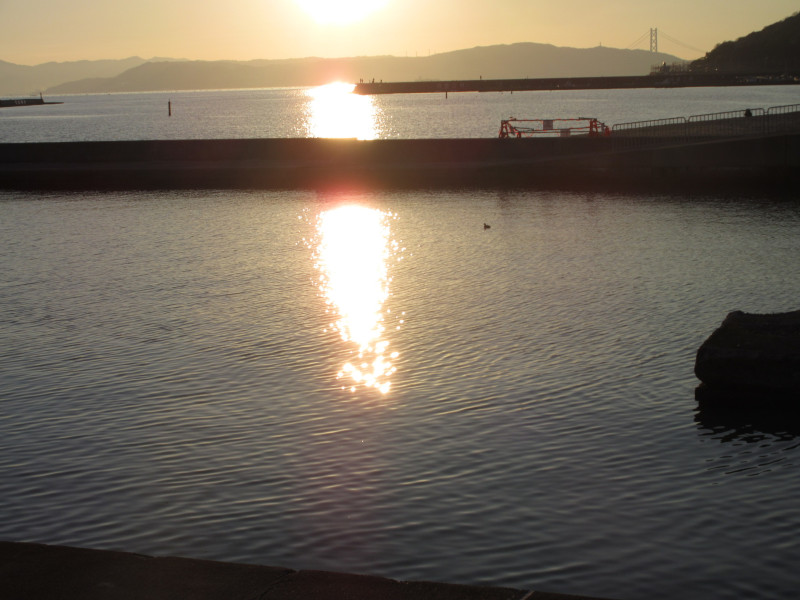 2025�N ���X�g�{���r�[�`