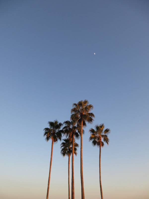 2025�N ���X�g�{���r�[�`