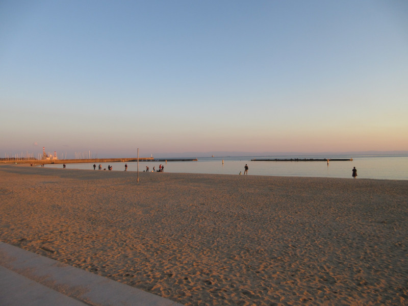 2025�N ���X�g�{���r�[�`