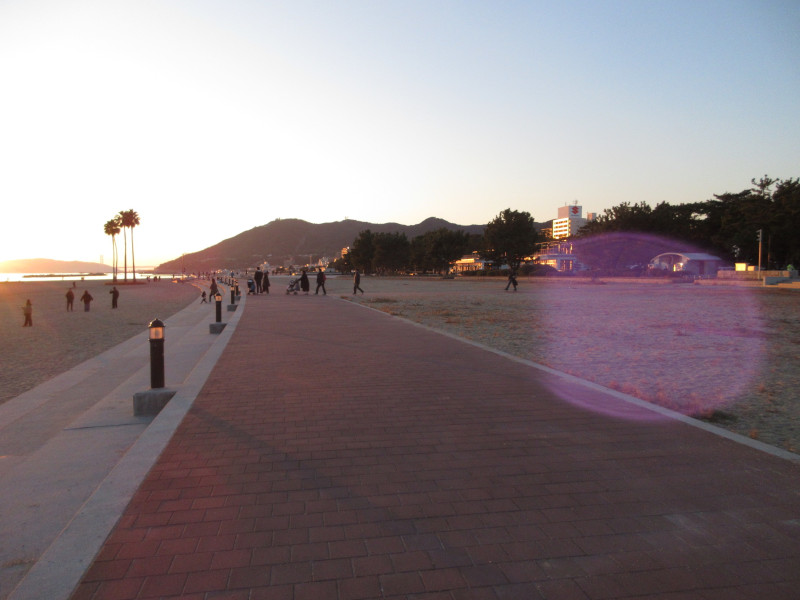 2025�N ���X�g�{���r�[�`