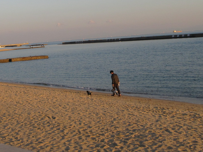 2025�N ���X�g�{���r�[�`