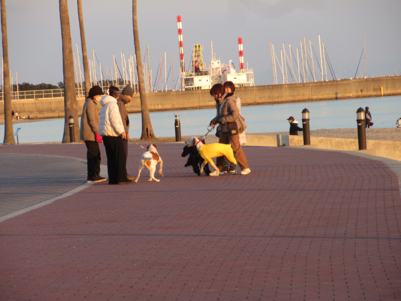 2025�N ���X�g�{���r�[�`