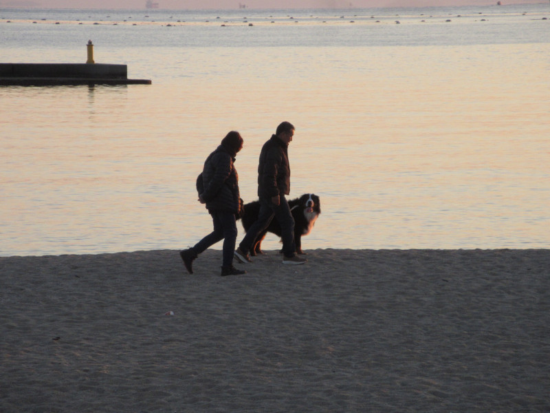 2025�N ���X�g�{���r�[�`