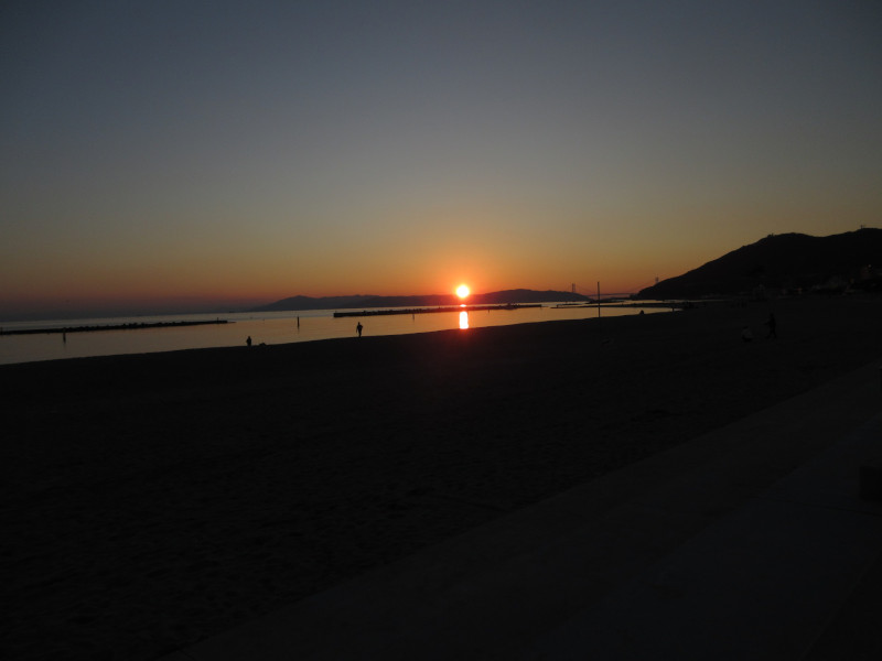 2025�N ���X�g�{���r�[�`