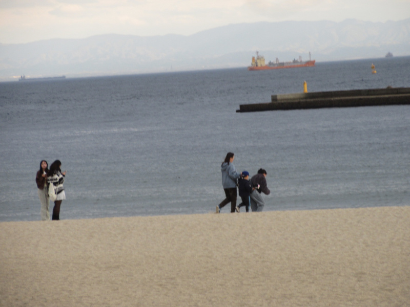 2026�N ���{���r�[�`