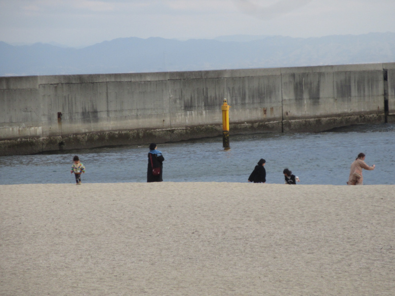 2026�N ���{���r�[�`