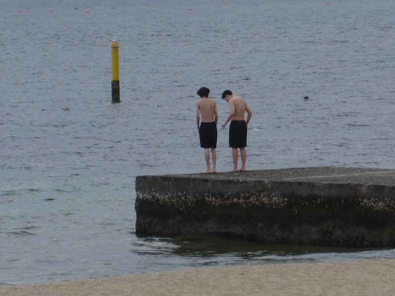 2026�N ���{���r�[�`