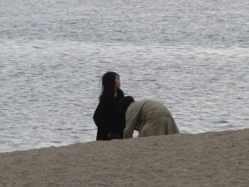 2026�N ���{���r�[�`