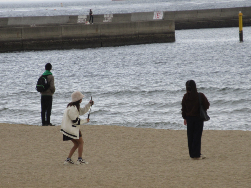 2026�N ���{���r�[�`