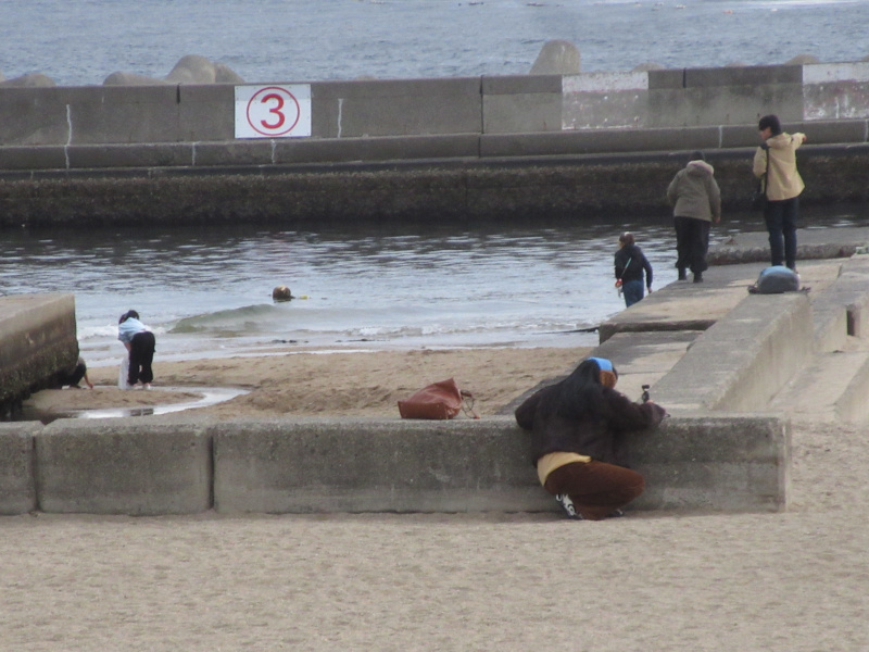 2026�N ���{���r�[�`