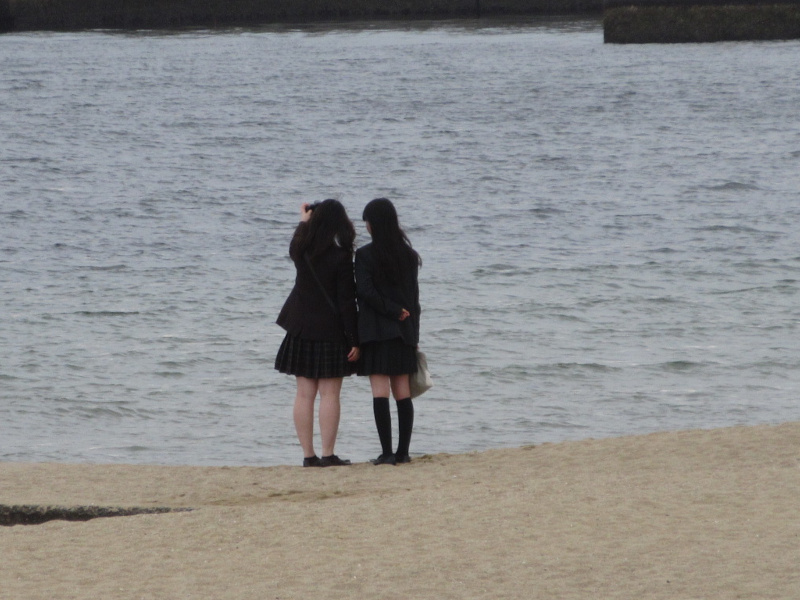 2026�N ���{���r�[�`