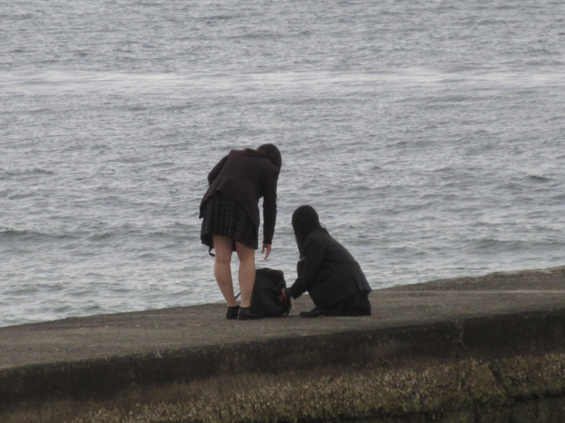 2026�N ���{���r�[�`