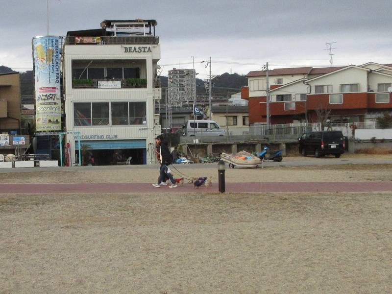 2026�N ���{���r�[�`