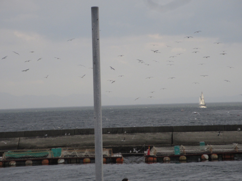 2026�N ���{���r�[�`