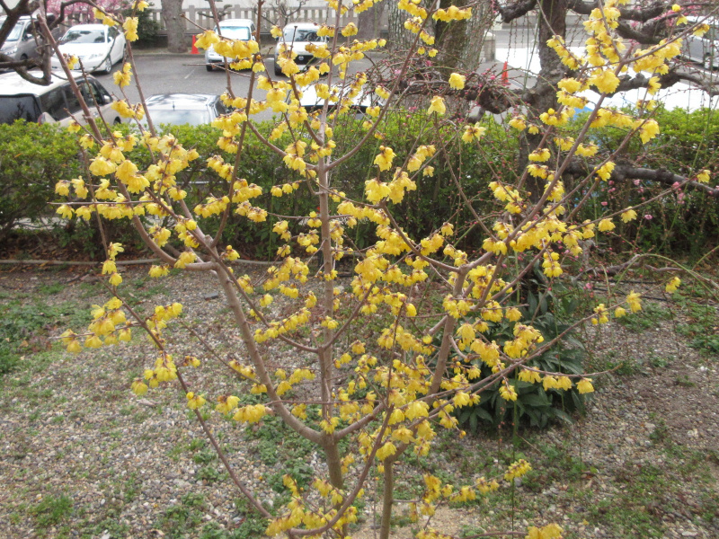 �j�~�V���{ �X�~