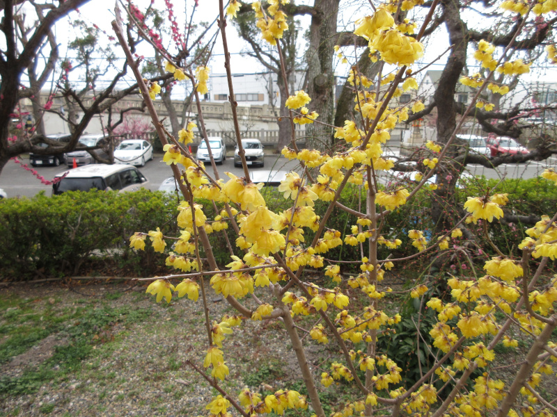 �j�~�V���{ �X�~