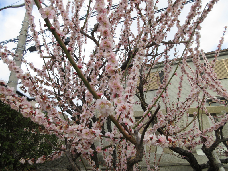 �j�~�V���{ �~