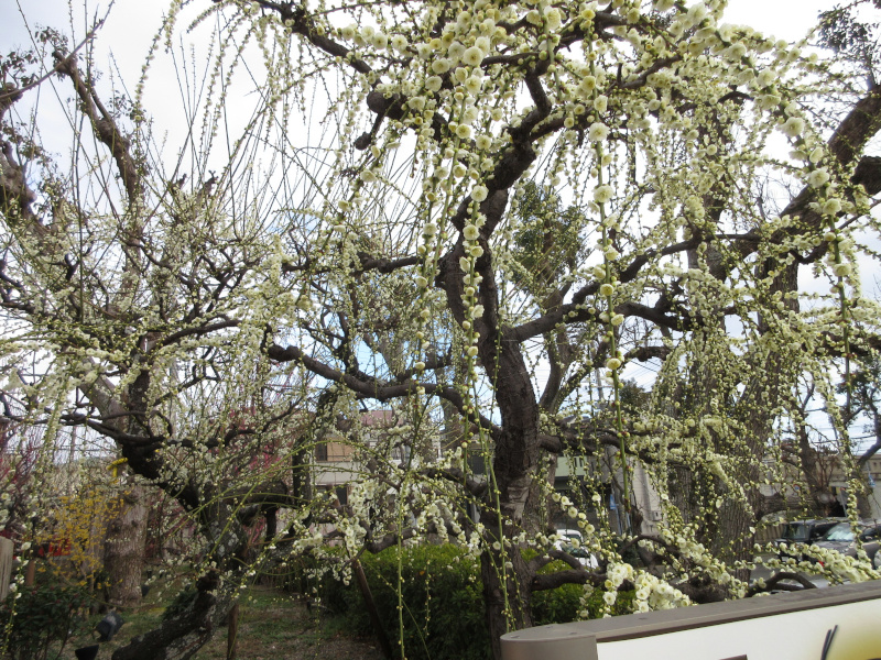 �j�~�V���{ �~