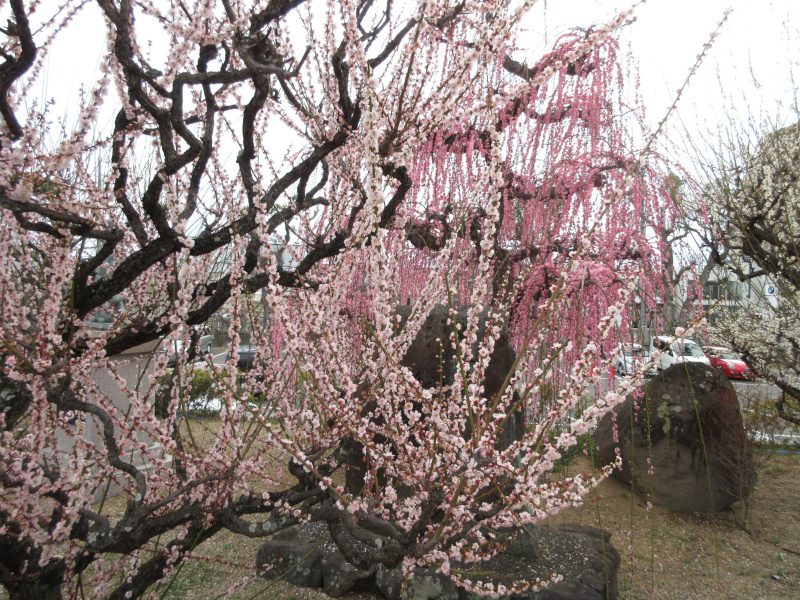 �j�~�V���{ �~