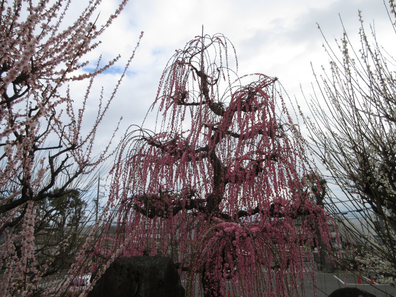 �j�~�V���{ �~