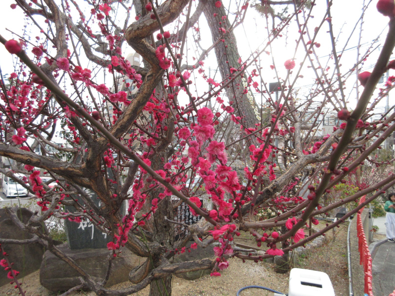 �j�~�V���{ �~