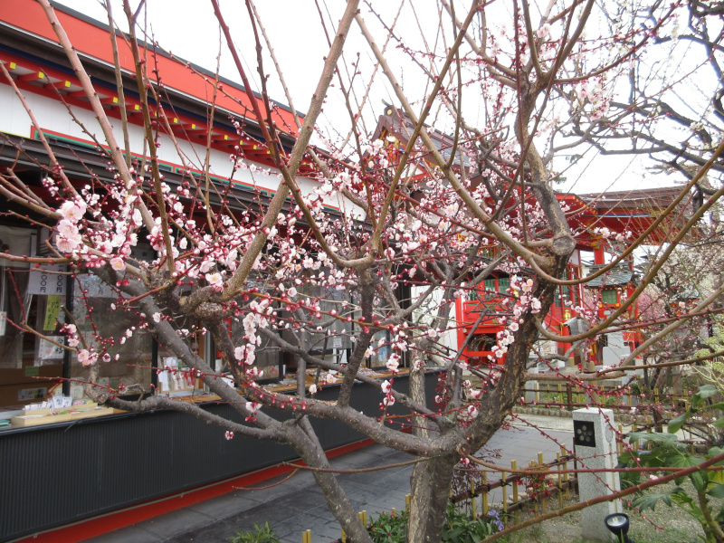 �j�~�V���{ �~