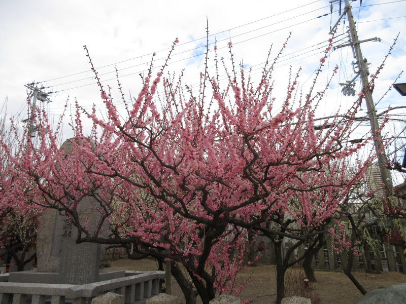 �j�~�V���{ �~