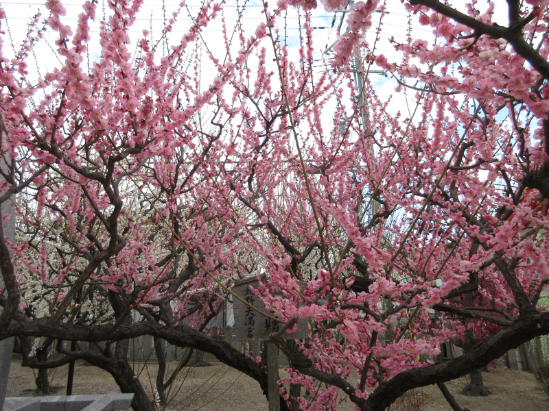 �j�~�V���{ �~