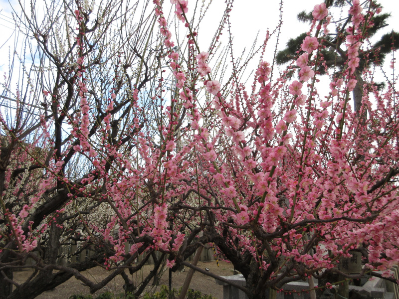 �j�~�V���{ �~