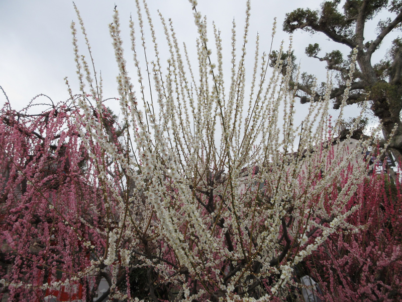 �j�~�V���{ �~