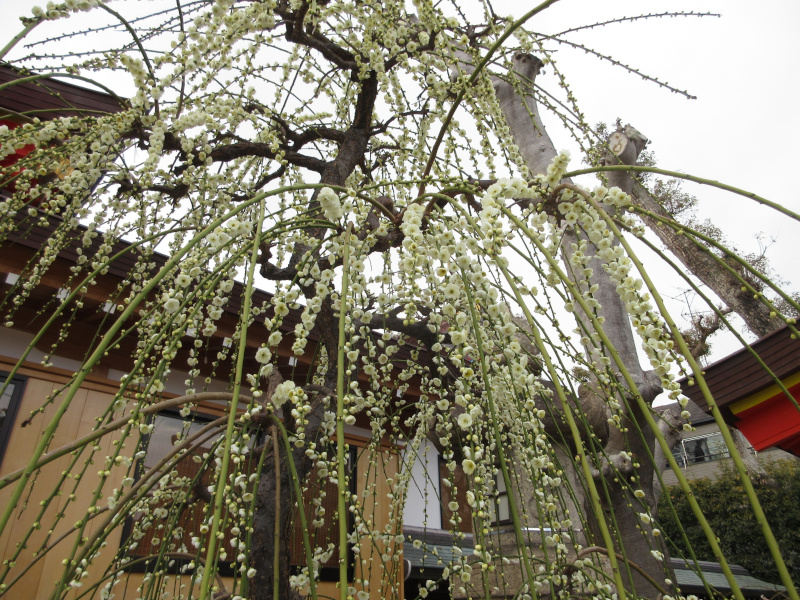 �j�~�V���{ �~