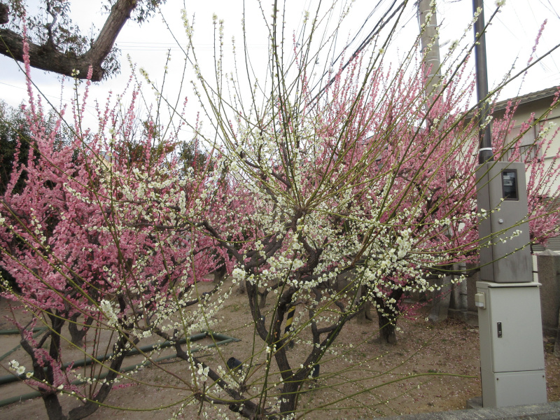 �j�~�V���{ �~