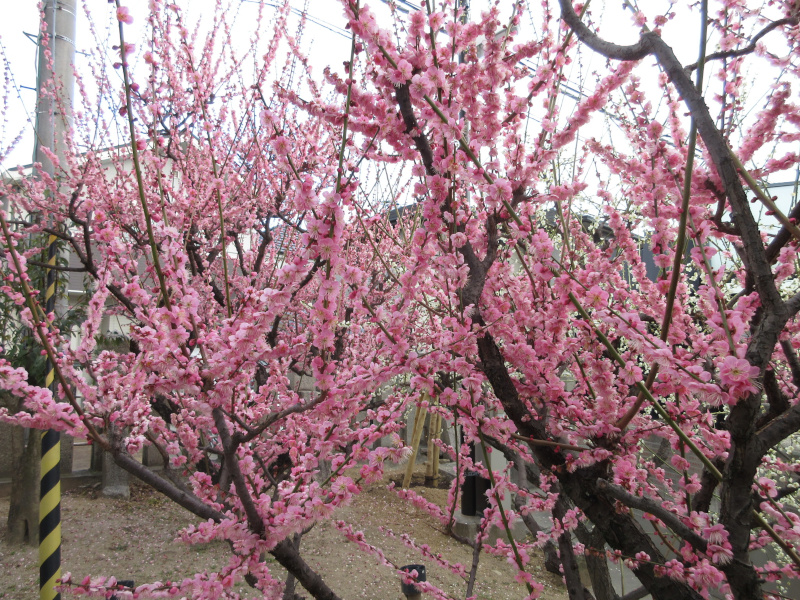 �j�~�V���{ �~