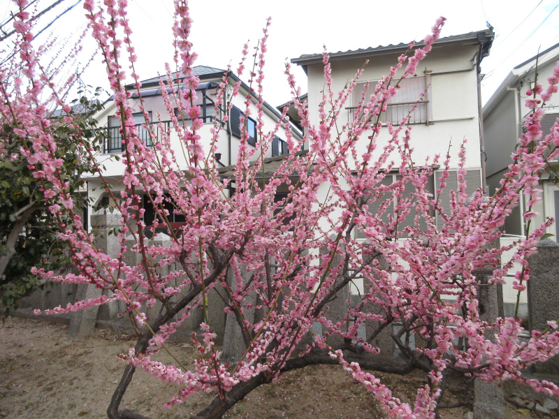 �j�~�V���{ �~