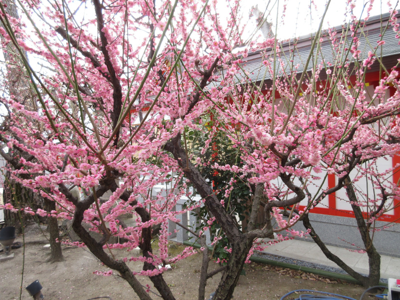 �j�~�V���{ �~