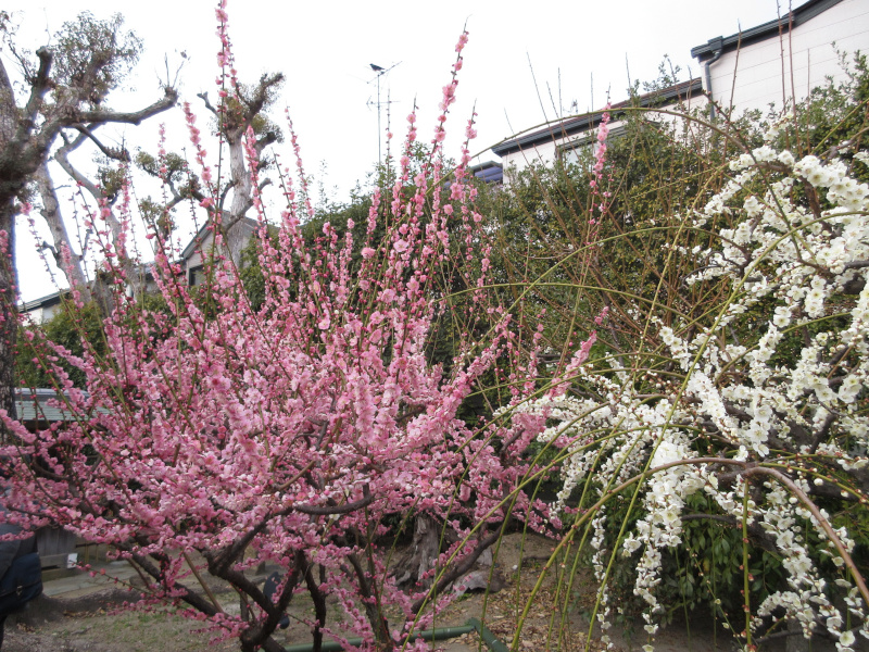 �j�~�V���{ �~