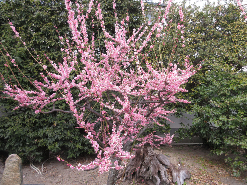 �j�~�V���{ �~