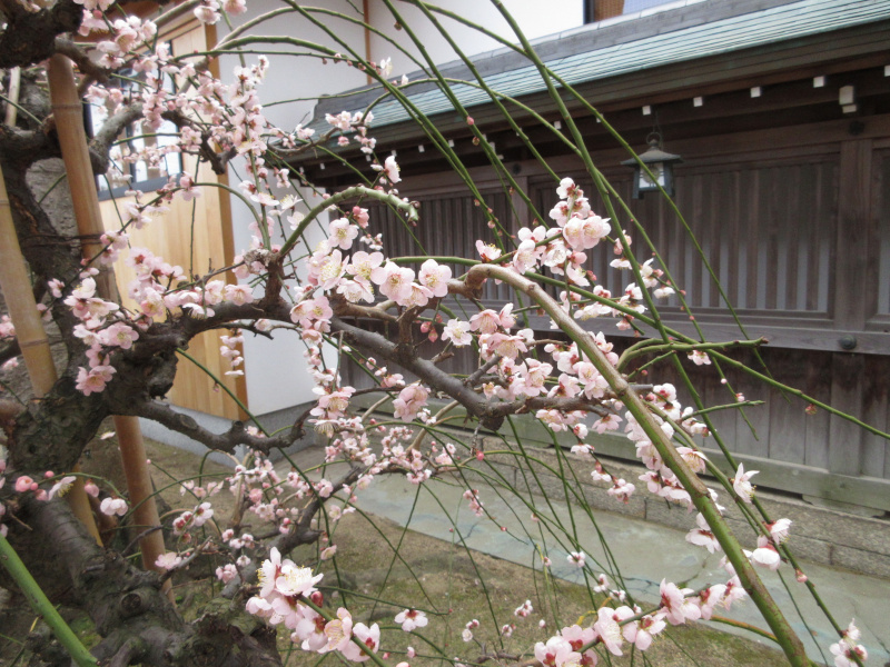 �j�~�V���{ �~