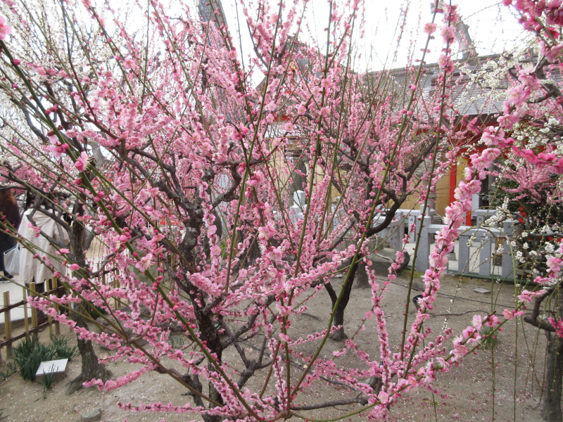 �j�~�V���{ �~