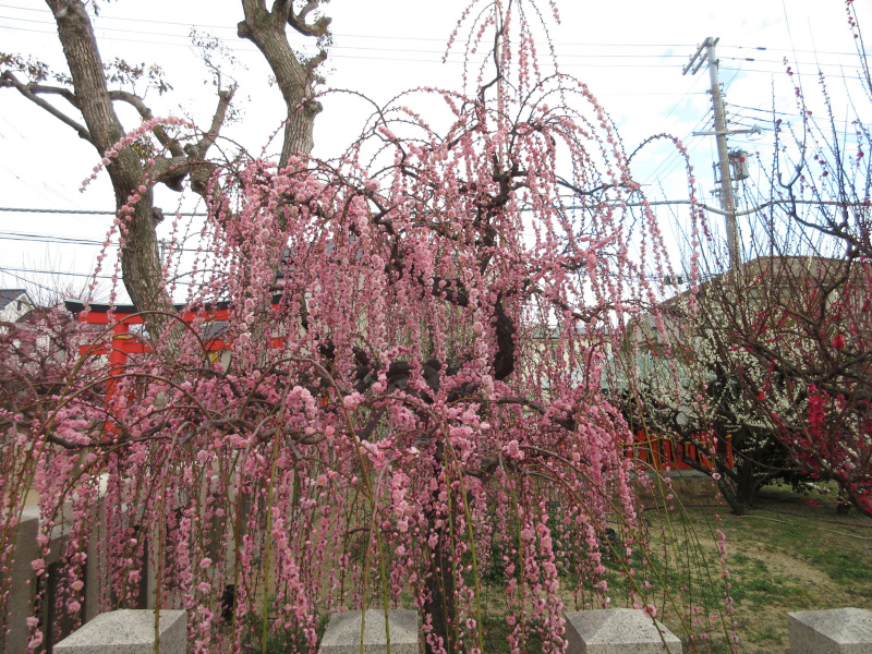 �j�~�V���{ �~