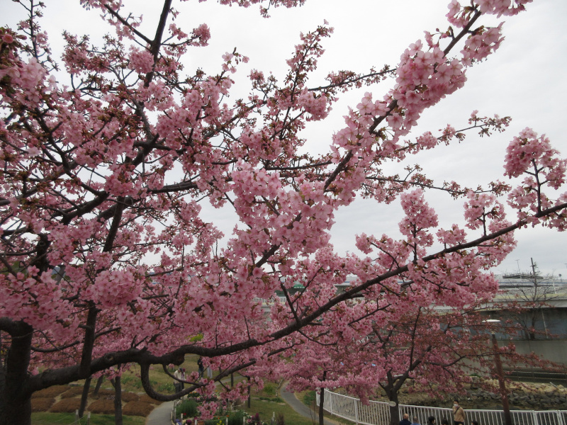 ������͌������̉͒Í�