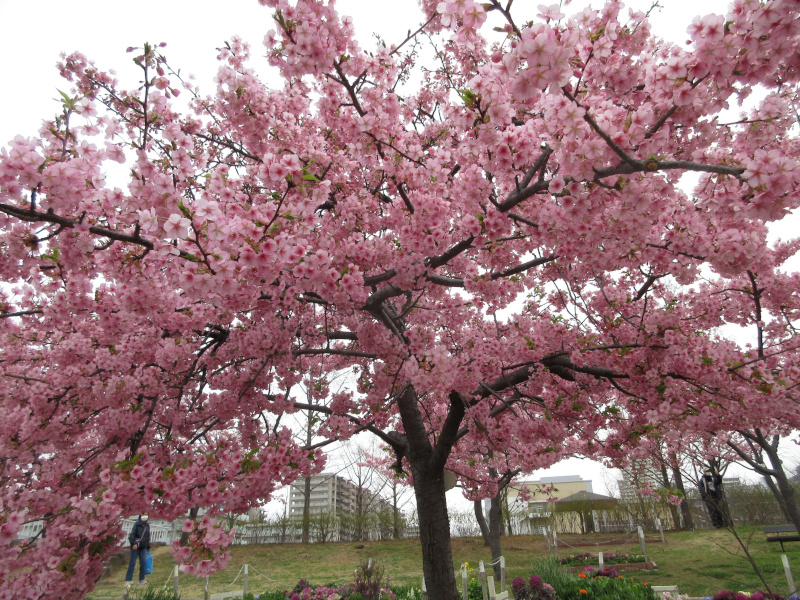 ������͌������̉͒Í�