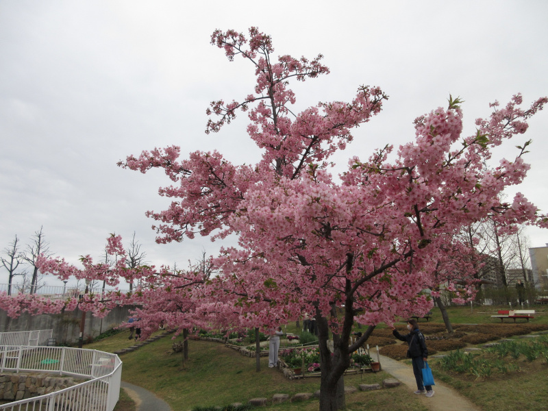 ������͌������̉͒Í�