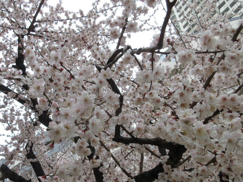 HAT�_�˂̏\����