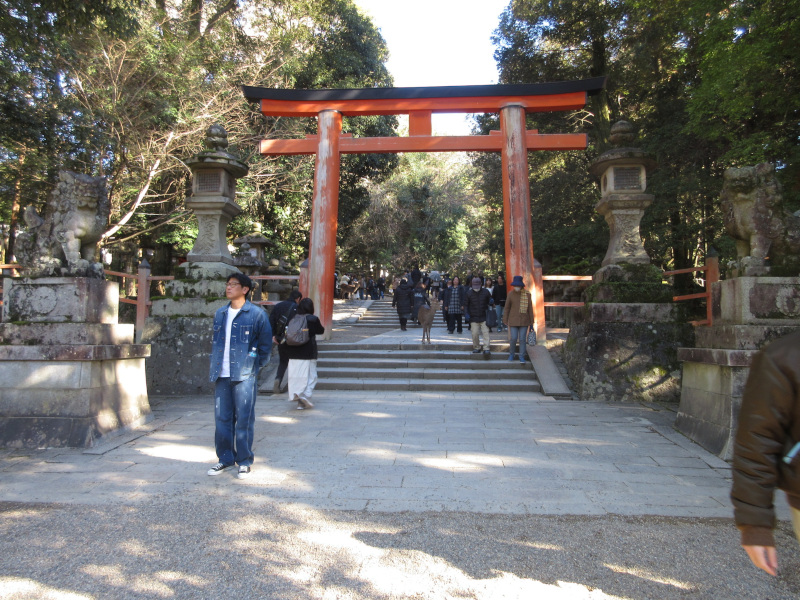 �t����ЁE�Q��