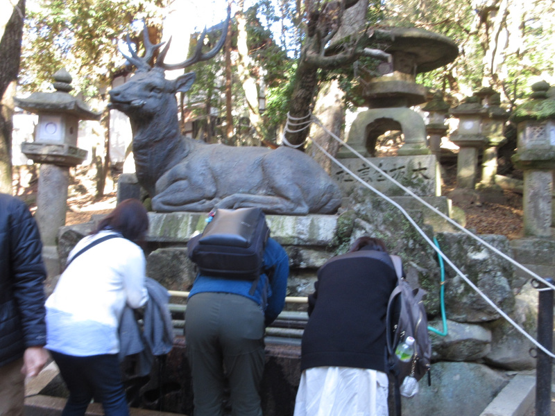 �t����ЁE����