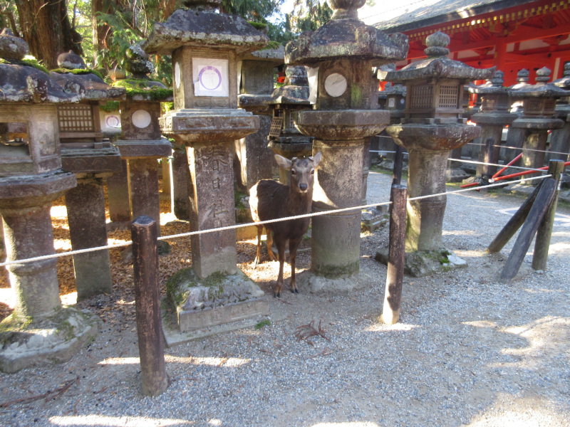 �t����ЁE��